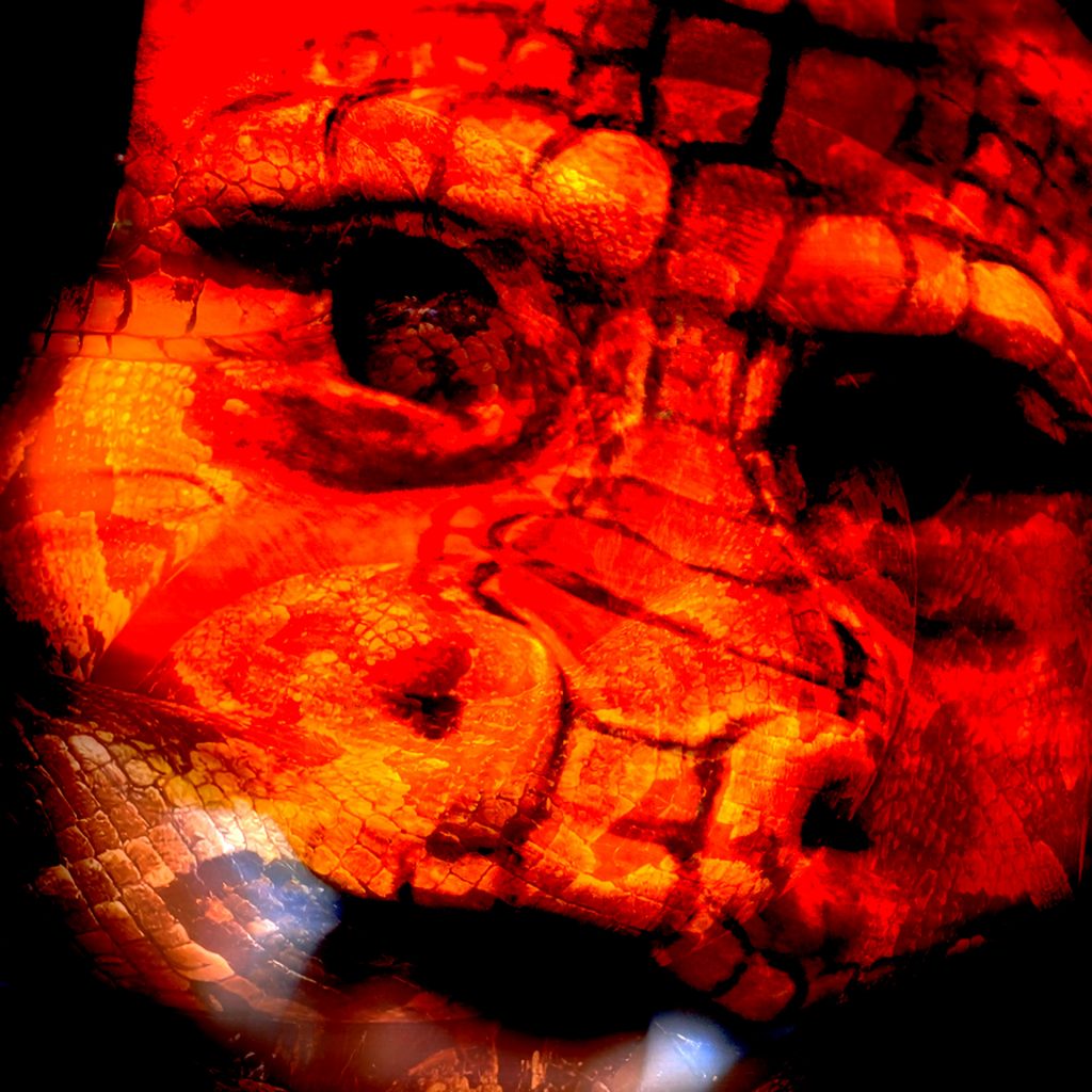 EinZ - Snake:in Energieboost - Musik